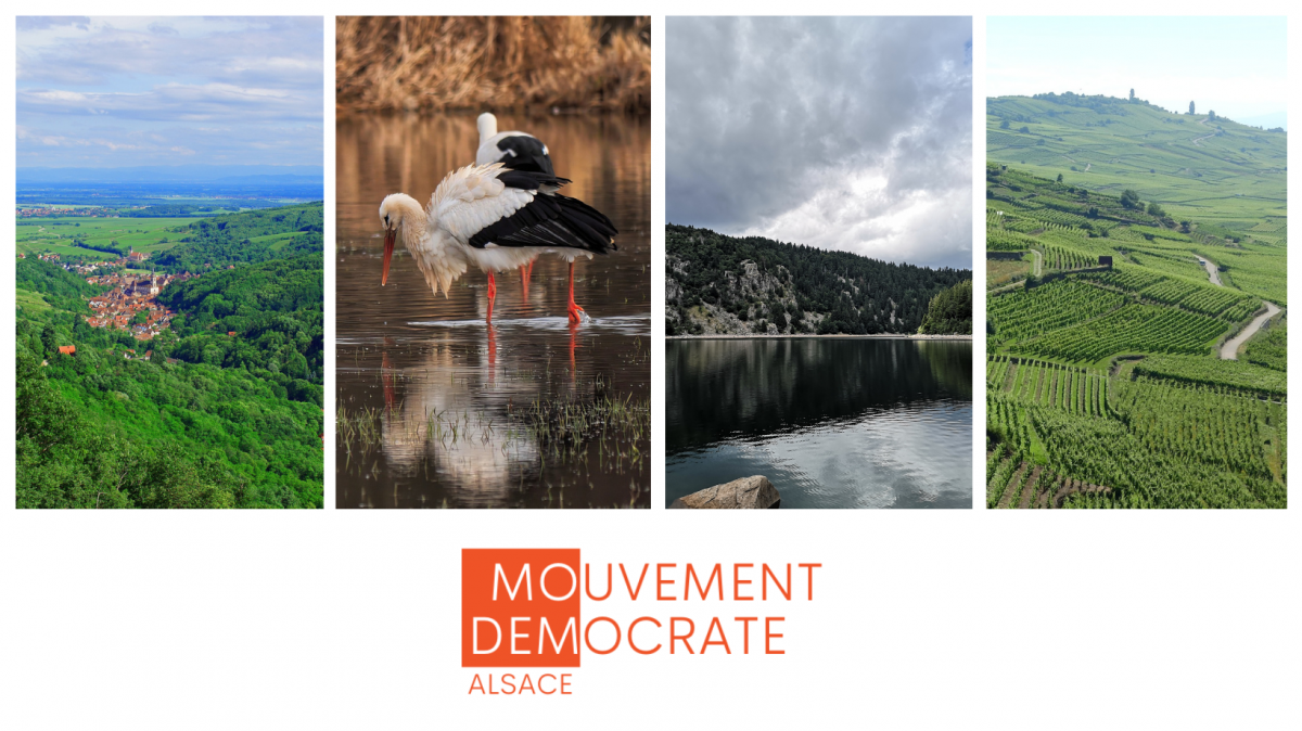 Ecologie et Développement Durable : la parole aux militants !