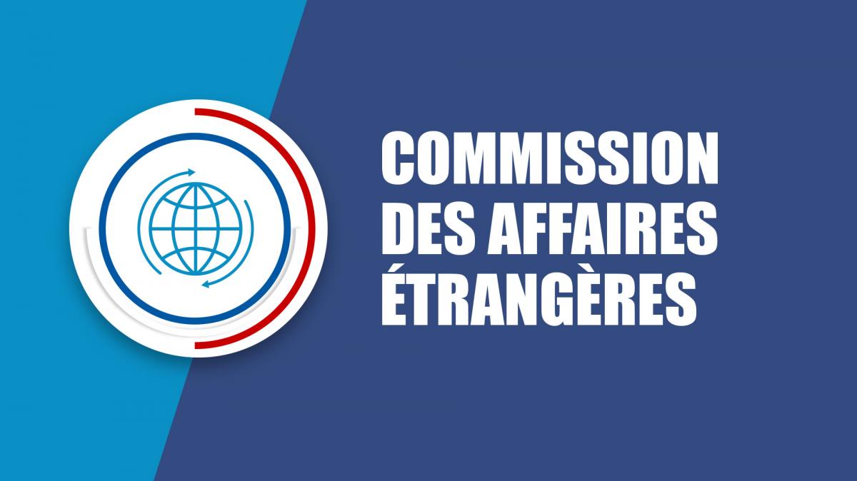 Commission affaires étrangères AN